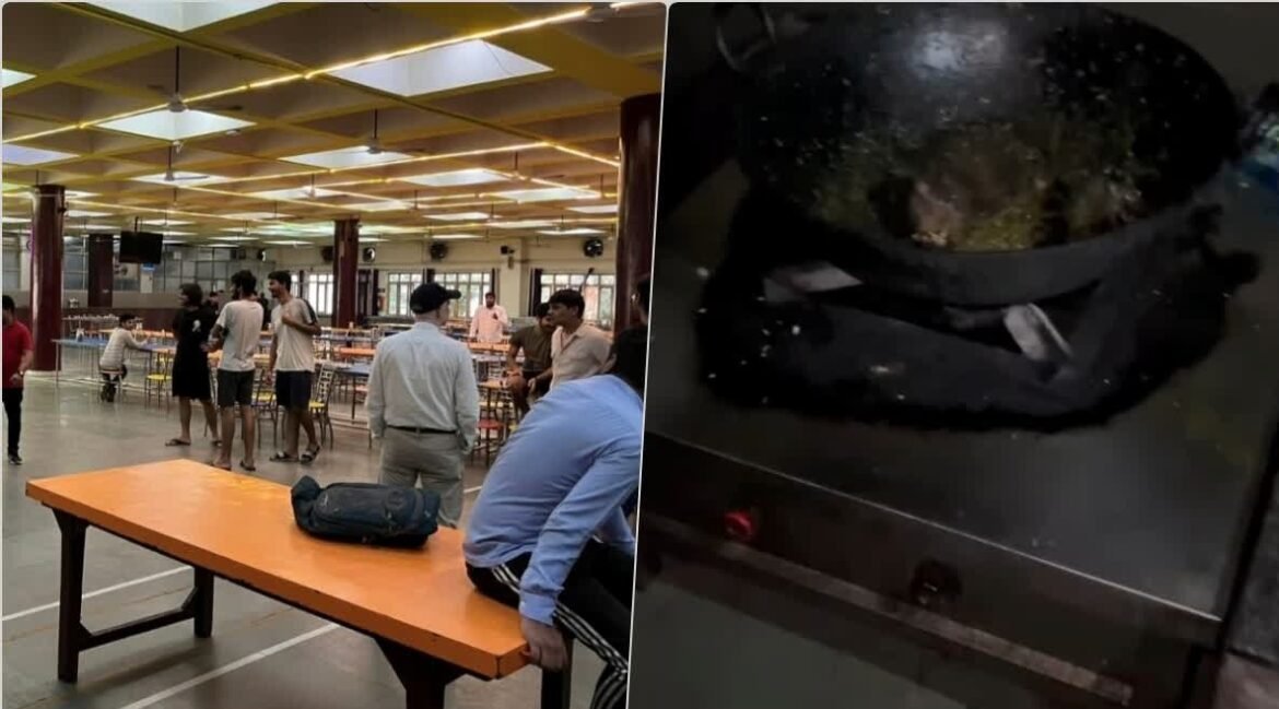 IIT रुड़की की मेस के खाने में कूदते नजर आये