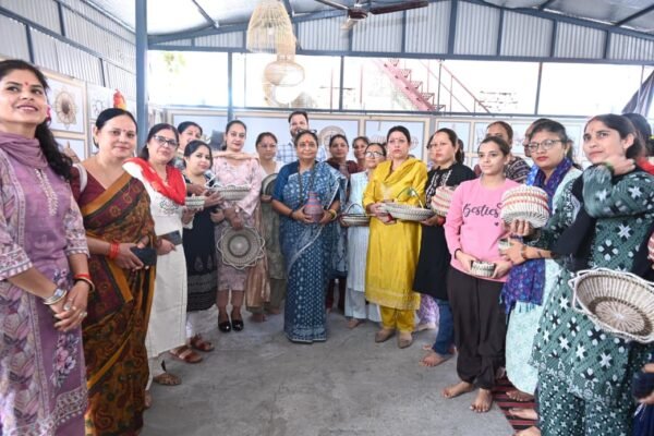 पीरूल से बने हस्तशिल्प उत्पादों से बढ़ेगा रोजगार और पर्यावरण